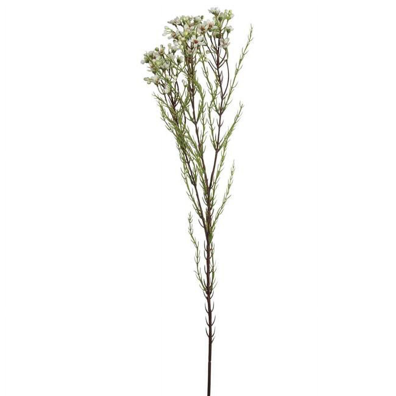 Mr. MJs Trading AIFL3957CRW White Wax Flower Stem Artificial Flower