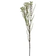 thumbnail image 1 of Mr. MJs Trading AI-FL3957CRW White Wax Flower Stem Artificial Flower, 1 of 1