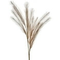 thumbnail image 1 of Mr. MJs Trading CM-RC380NA Natural Double Plume Feather Spray Faux Plants & Trees, 1 of 1