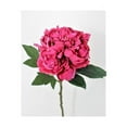 thumbnail image 1 of Mr. MJs Trading CM-YY054FS Fuchsia Blooming Peony Stem Artificial Flower, 1 of 1