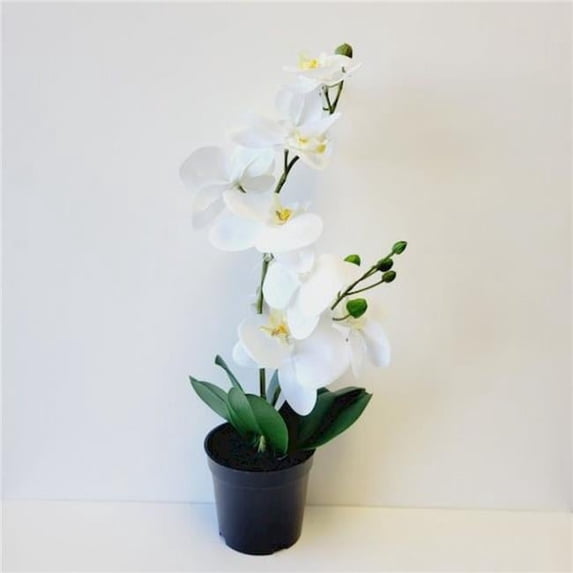 Mr. MJs Trading CM-OM269WH White Potted Phalaenopsis Orchid Artificial Flower