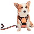thumbnail image 1 of Mr. Peanut's PetTrek Harness With Matching Leash, 1 of 9