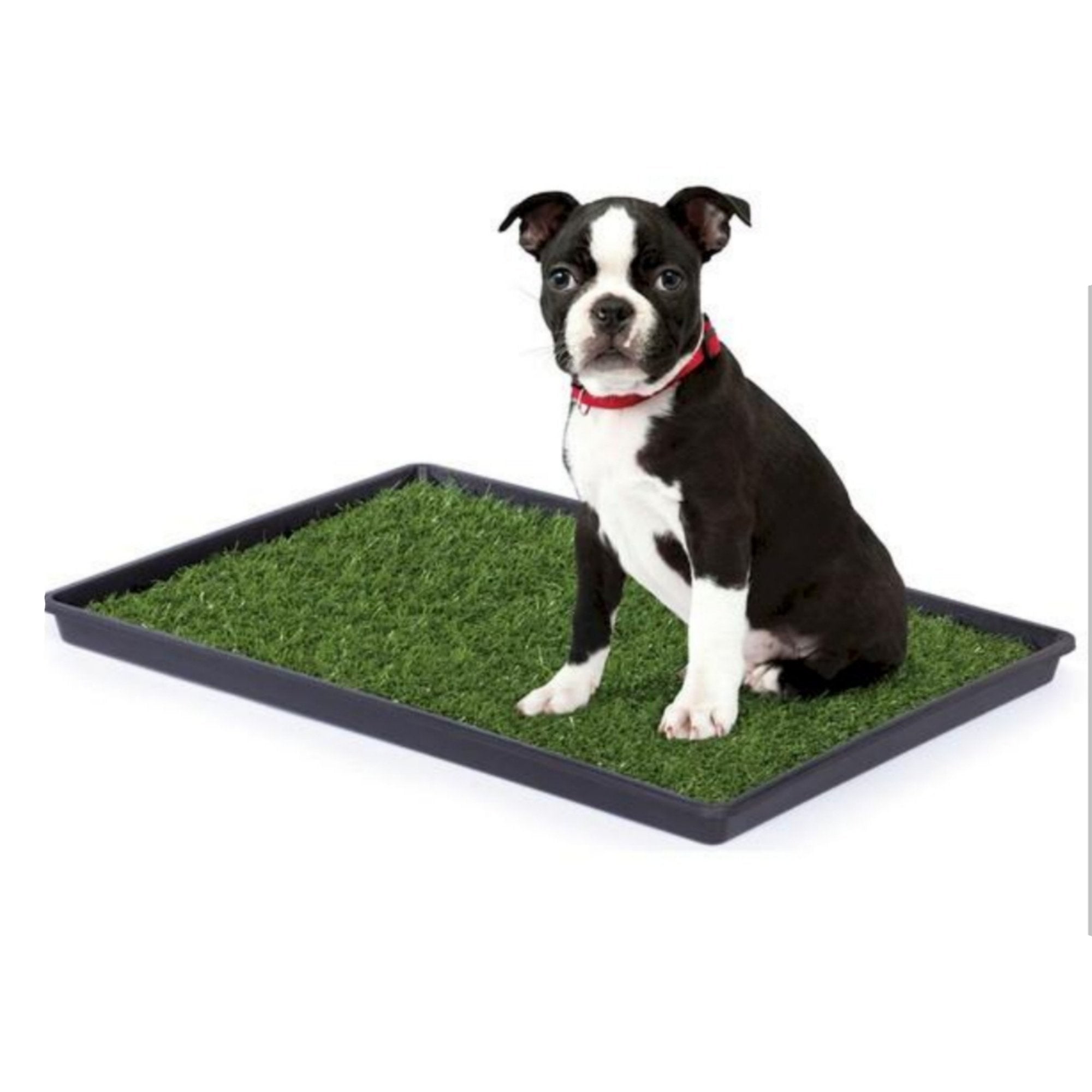Astro turf hotsell pee pad