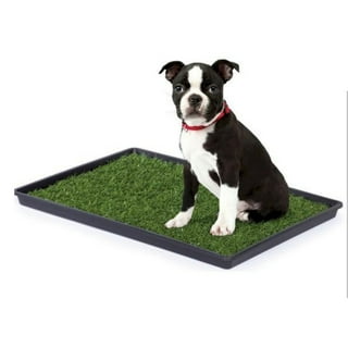 Dogs Training Place Boards
