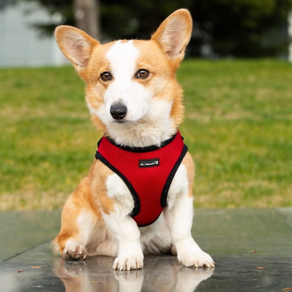 Mr. Peanut's PupTrek Small Dog/Cat Soft Mesh Step in Harness Vest