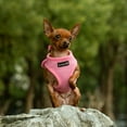 thumbnail image 1 of Mr. Peanut's PupTrek Small Dog/Cat Soft Mesh Step in Harness Vest, 1 of 8