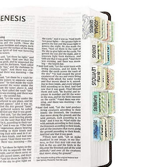 Mr. Pen- Bible Tabs, 75 Tabs, Laminated, Bible Journaling Supplies, Bible Tabs Old and New Testament, Bible Tabs for Women, Bible Tabs for Journaling Bible, Bible Book Tabs …