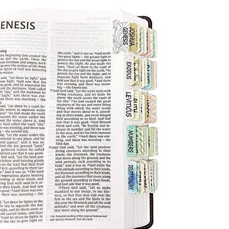 Mr. Pen- Bible Tabs, 75 Tabs, Laminated, Bible Journaling Supplies, Bible Tabs Old and New Testament, Bible Tabs for Women, Bible Tabs for Journaling Bible, Bible Book Tabs â€¦