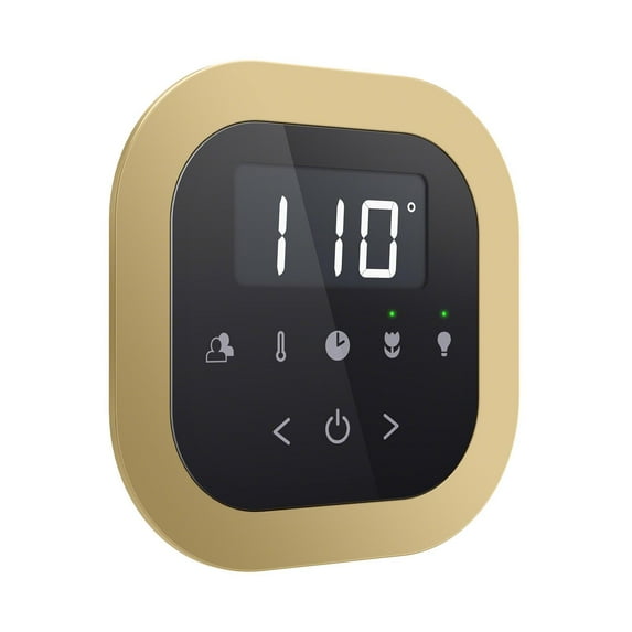 Mr Steam 104232Rd Airtempo Round Flush Mount Kit - Brass