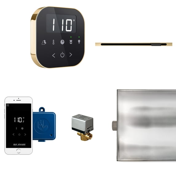 Mr Steam Abtlrlbk Airbutler Linear Steam Generator Control Kit / Package - Brass