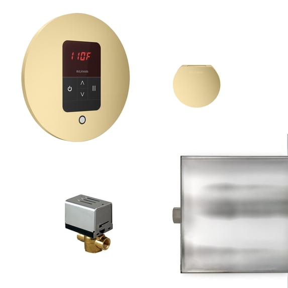 Mr Steam Bbutlerr Basic Butler Steam Generator Control Kit / Package - Brass