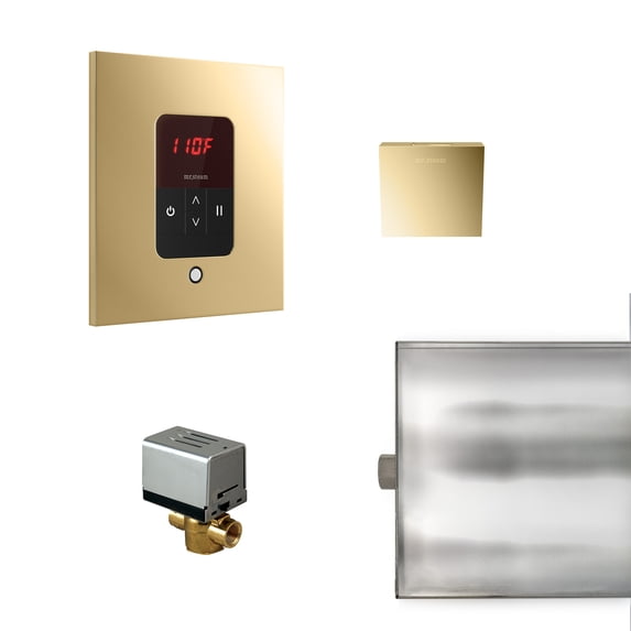 Mr Steam Bbutlers Basic Butler Steam Generator Control Kit / Package - Brass