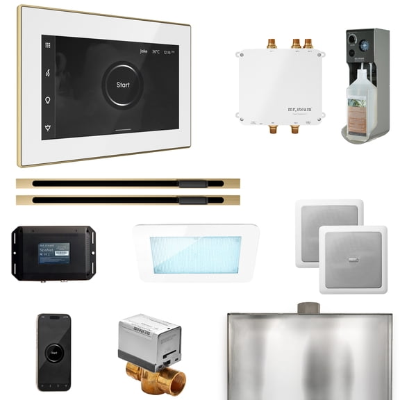 Mr Steam Bliss Max Steam Shower Ctrl Pkg w/iSteamX Control and Linear Steamhead in White Satin Brass
