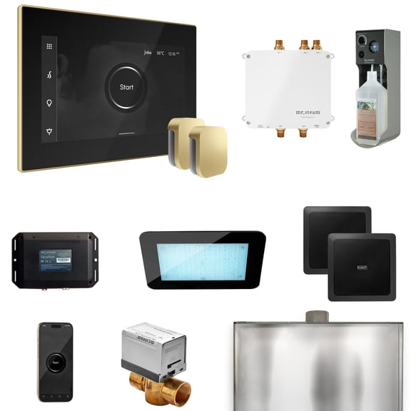 Mr Steam Bliss Max Steam Shower Ctrl Pkg w/iSteamX Control and Steamhead in Black Satin Brass