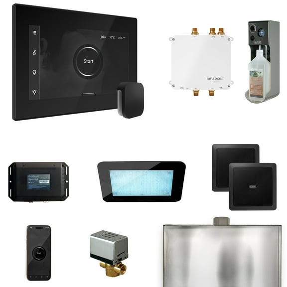 Mr Steam Bliss Steam Shower Ctrl Pkg w/iSteamX Control and Steamhead in Black Matte Black