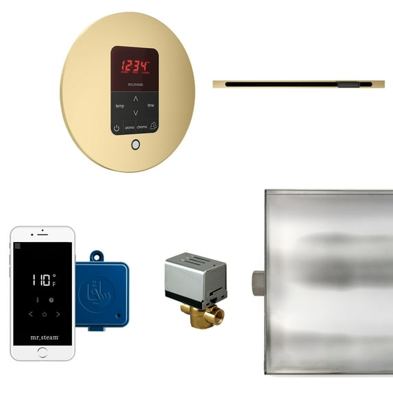 Mr Steam BTLRL1RSB Butler Linear Steam Generator Control Kit / Package - Brass