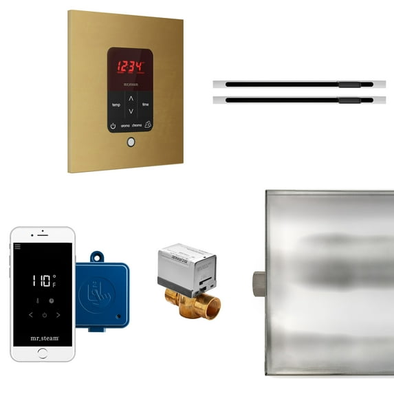 Mr Steam BTLRLXSRAW Butler Max Linear Steam Generator Control Kit / Package - Custom