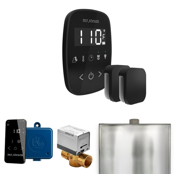 Mr Steam ButlerFlex Max Steam Shower Pkg w/TempoFlex Control and Steamhead in Black Matte Black