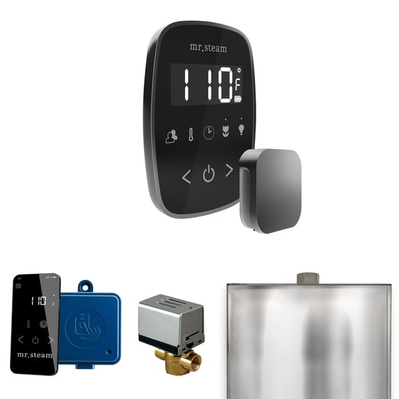 Mr Steam ButlerFlex Steam Shower Ctrl Pkg w/TempoFlex Control and Steamhead in Black Satin Steel