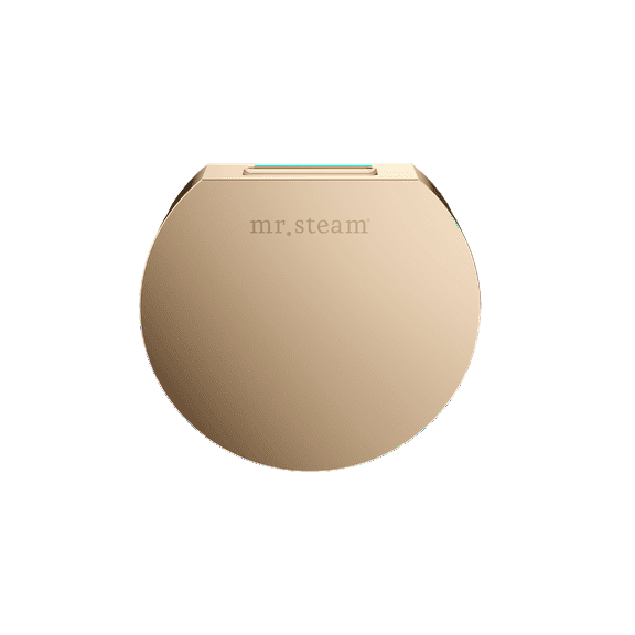 Mr Steam Designer 3 in. Steamhead with AromaTherapy Reservoir in Round Polished Gold
