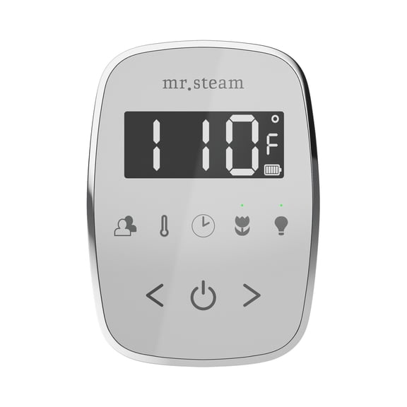 Mr Steam TempoFlex Steam Shower Control and Steamhead in White Polished Brass