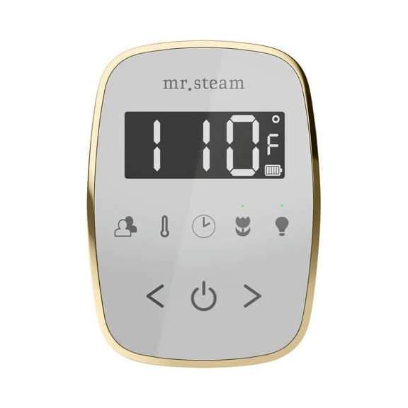 Mr Steam TempoFlex Steam Shower Control and Steamhead in White Polished Nickel