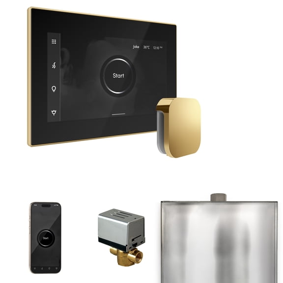 Mr Steam XButler Steam Shower Ctrl Pkg w/iSteamX Control and Steamhead in Black Polished Brass