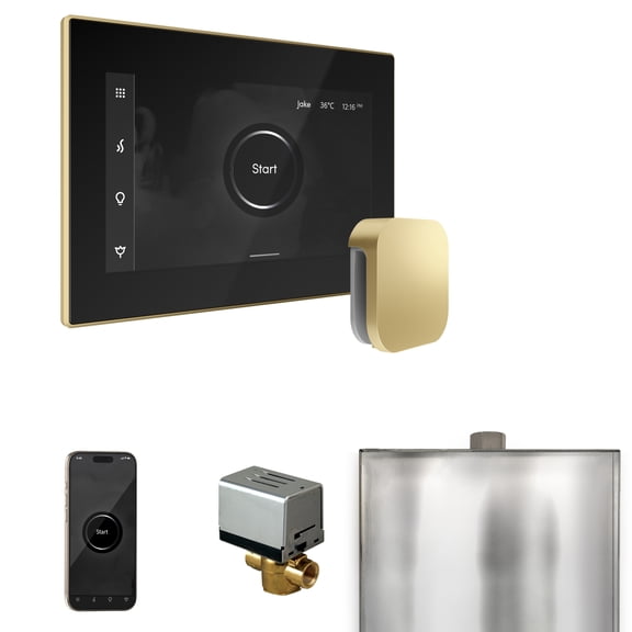 Mr Steam XButler Steam Shower Ctrl Pkg w/iSteamX Control and Steamhead in Black Satin Brass