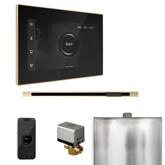 Mr Steam XButler Steam Shower Pkg w/iSteamX Control and Linear Steamhead in Black Polished Brass