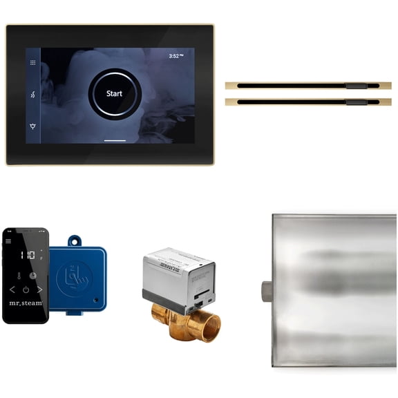 Mr Steam Xbtlrxl Xbutler Max Linear Steam Shower Control Package - Black