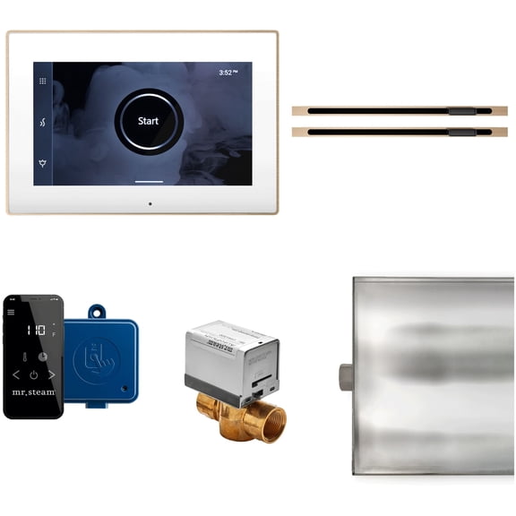 Mr Steam Xbtlrxl Xbutler Max Linear Steam Shower Control Package - MultiColor