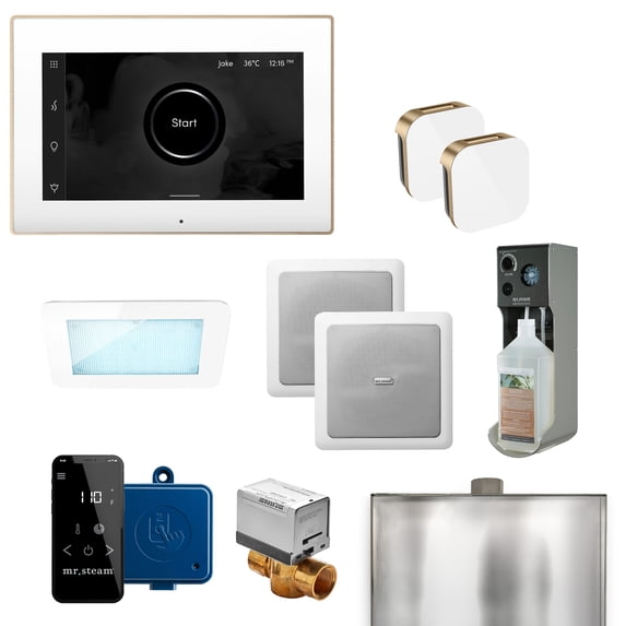 Mr Steam Xdrm1x Xdream Max Steam Shower Package - MultiColor