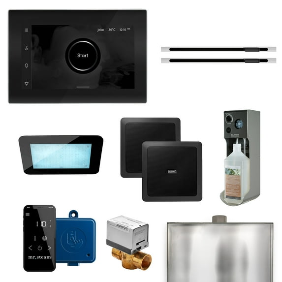 Mr Steam Xdrm1xl Xdream Max Linear Steam Shower Package - Black