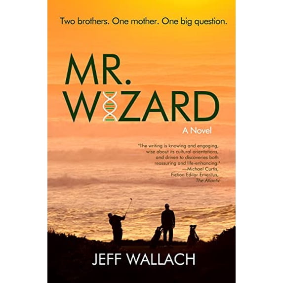 Pre-Owned Mr. Wizard (Paperback) 1948598302 9781948598309