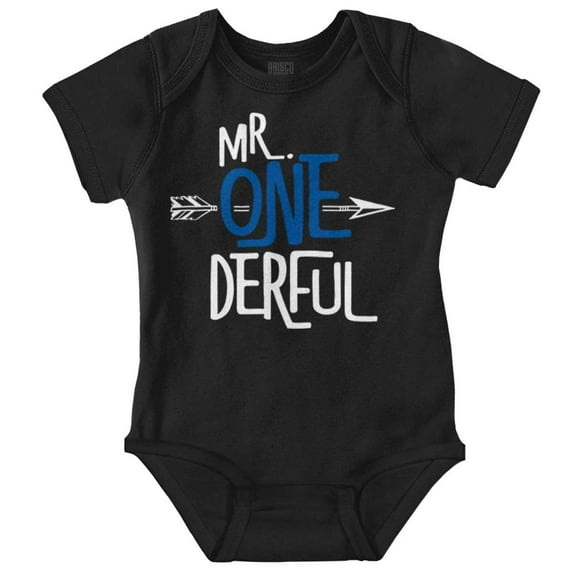Mr. Wonderful Cute 1st Birthday Pun Bodysuit Jumper Boys Infant Baby Brisco Brands 18M