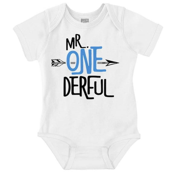 Mr. Wonderful Cute 1st Birthday Pun Bodysuit Jumper Boys Infant Baby Brisco Brands 24M