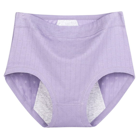 Mrat Ice Silk Underwear Women Women's Large Solid Color Leak Proof Menstrual Underwear Period Underwear for Women Plus Size S-266 Purple 6XL