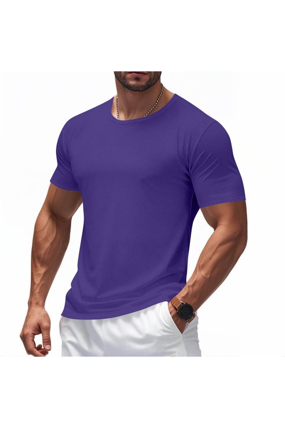 Men's Short Sleeve Crew Neck Tee Streamlined Pull-On Design Dry Fabric Moisture Wicking Gym Casual Activity Top Purple S