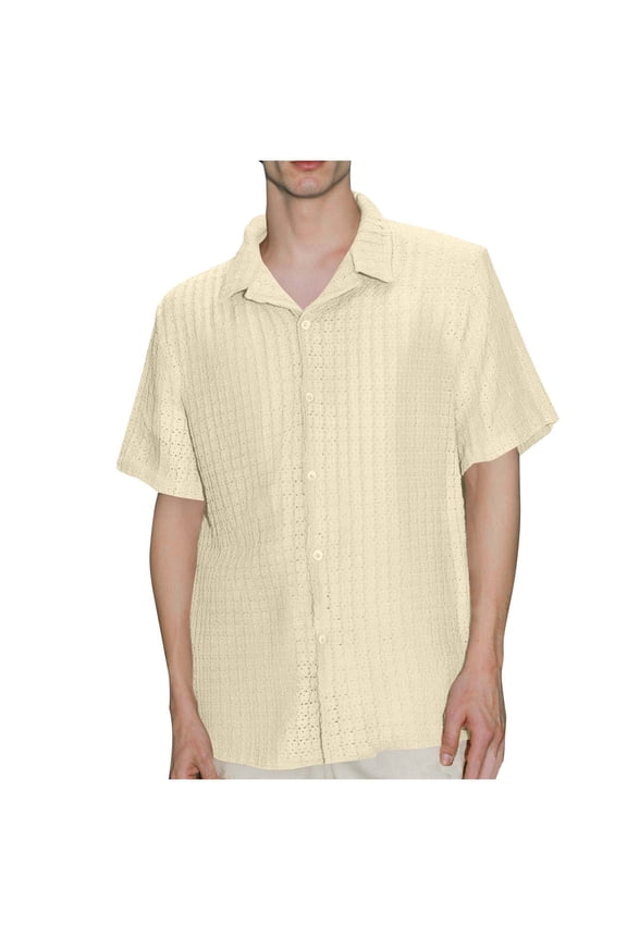 Men's Short Sleeve Striped Shirt Spread Collar Full Placket Lightweight Fabric Wrinkle Resistant Business Casual Office Wear Beige L