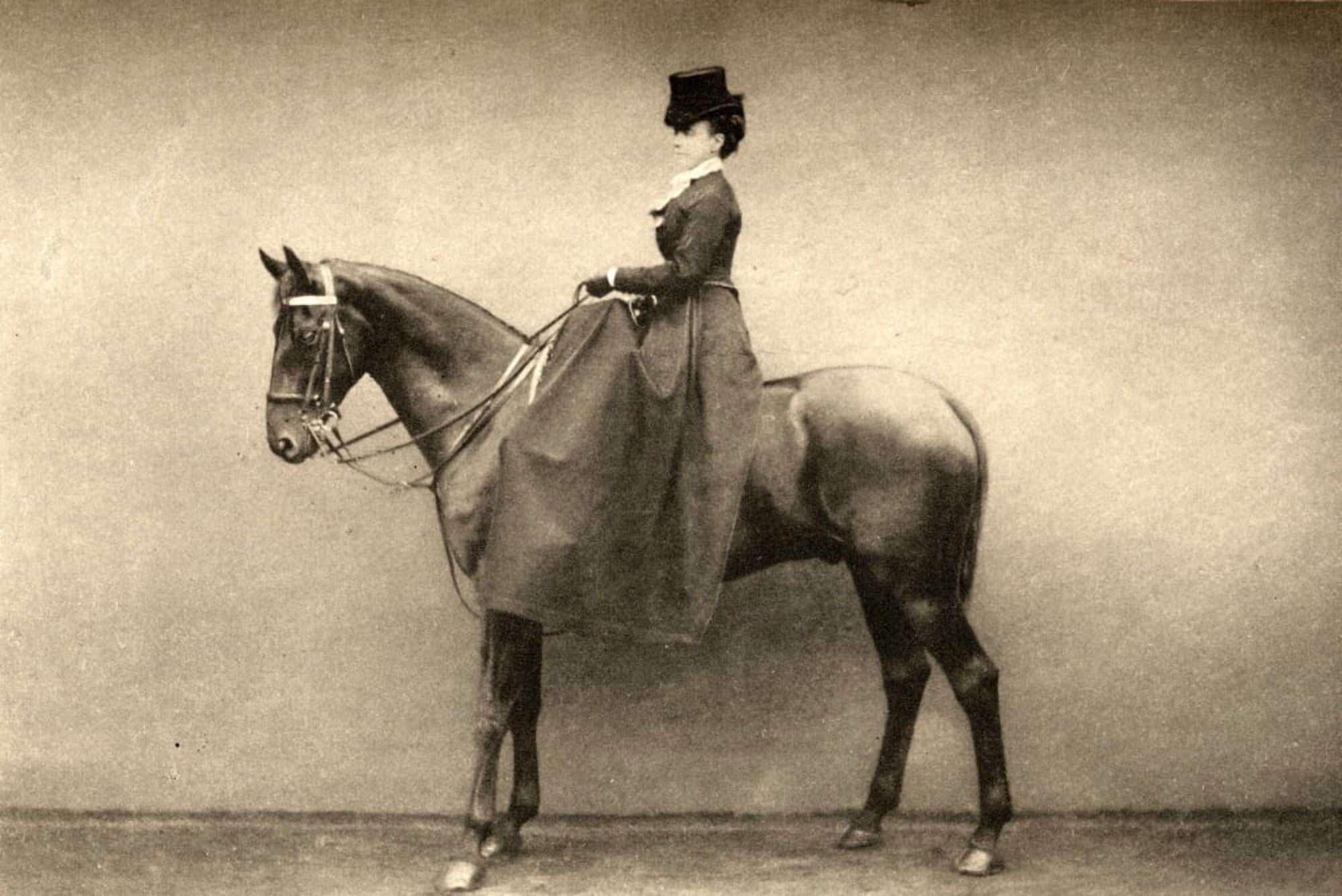 Mrs Emily Monroe Dickinson1841-1918 Sister Of Charles Stewart Parnell And Author Of A Patriots Mistake Being Personal Recollections Of The Parnell Family Canvas Art - Ken Welsh Design Pics (18 x 12)