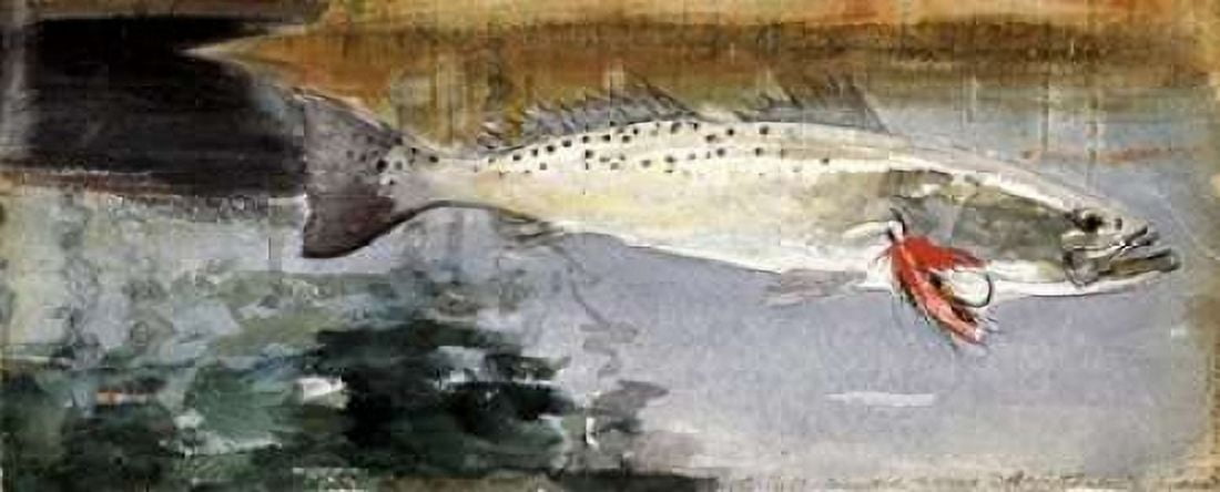Mrs R H Watts Trout Canvas Art - Winslow Homer (24 x 48)