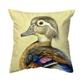 thumbnail image 1 of Mrs. Wood Duck Noncorded Pillow 18x18 Medium, 1 of 2