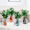 thumbnail image 1 of Msgweeeg Transparent Hydroponic Plantsers Philodendron Moneywort Glass-Look Vase Plastic Home Decor Accent Natural Indoor Water Plants Growing Solution Modern, 1 of 7