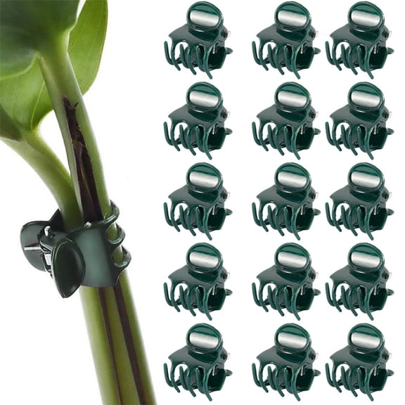 Msgweeeg plants Stakes Tomato Stakes plants Support20PCS/100PCS Phalaenopsis Flower Fixing Clip For Horticultural VINESs Support Branch Clip