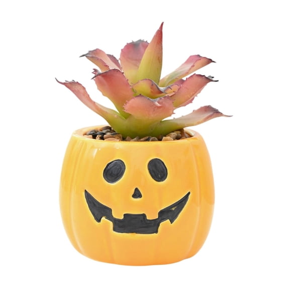 Mskk Mini Halloween Pumpkin Ceramic Plant Pot Decoration, 3.5" Small Pumpkin Face Succulent Planter, Flower Pot for Cactus, Tiny Indoor Desktop Plant Container