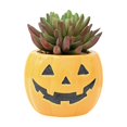 thumbnail image 1 of Mskk Mini Halloween Pumpkin Ceramic Plant Pot Decoration, 3.5" Small Pumpkin Face Succulent Planter, Flower Pot for Cactus, Tiny Indoor Desktop Plant Container, 1 of 8