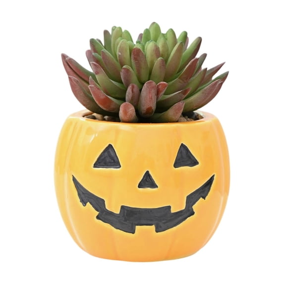 Mskk Mini Halloween Pumpkin Ceramic Plant Pot Decoration, 3.5" Small Pumpkin Face Succulent Planter, Flower Pot for Cactus, Tiny Indoor Desktop Plant Container