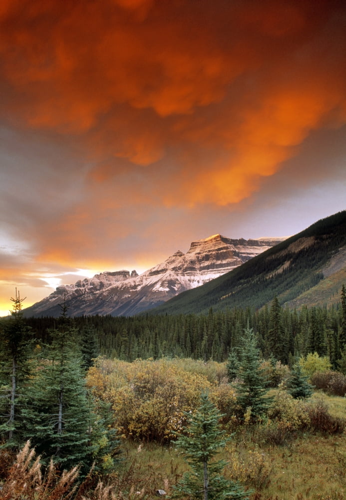 Mt Amery And Dramatic Clouds Banff National Park Alberta Canada Canvas Art - Darwin Wiggett Design Pics (11 x 16)