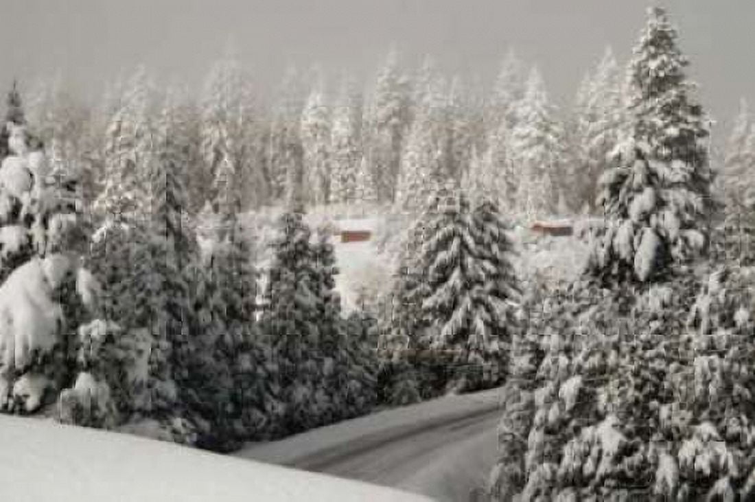 Mt Ashland Rd Canvas Art - Vitaly Geyman (24 x 36)