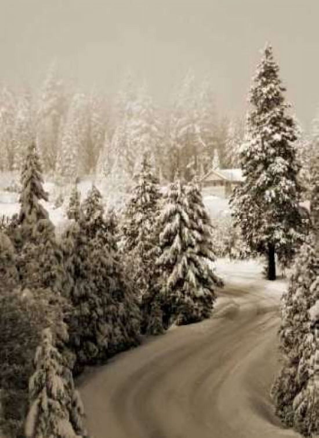 Mt Ashland Rd II Canvas Art - Vitaly Geyman (18 x 24)